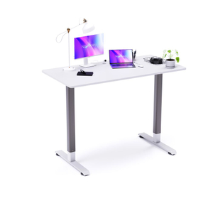 人間工学に基づいたオフィス用コンピュータテーブルエグゼクティブ電動スタンディングデスク